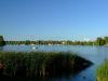 Wschodni brzeg Jeziora Durowskiego