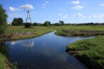 Bifurkacja rzek w Wągrowcu - skrzyżowanie Nielby i Wełny