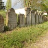 żydowski cmentarz w Wągrowcu